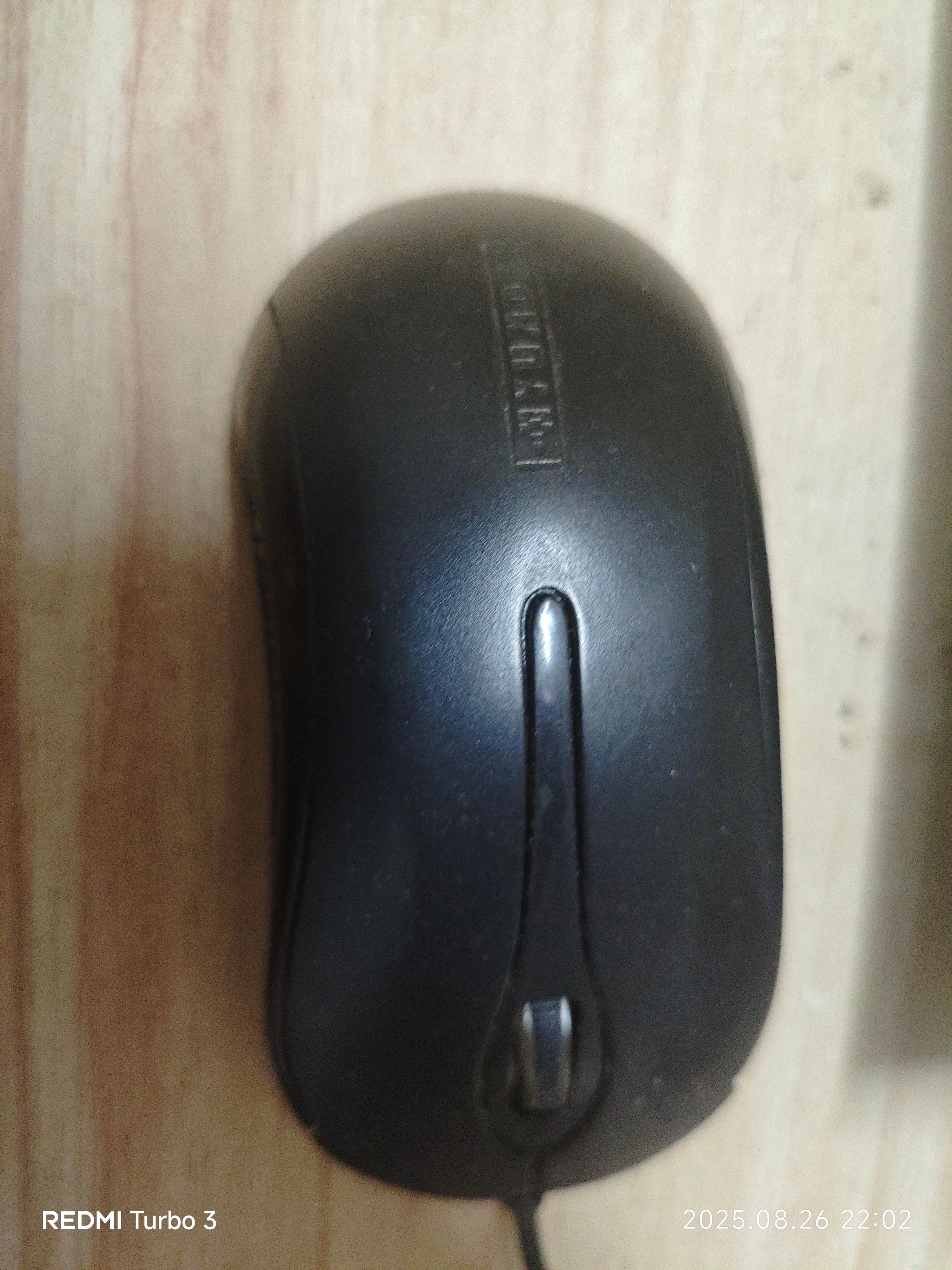 mouse